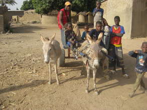 Donkey cart
