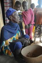 Solar energy for 2,500 villagers in Salamale, Mali