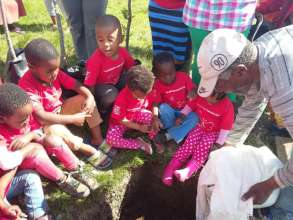 Learning all about trees
