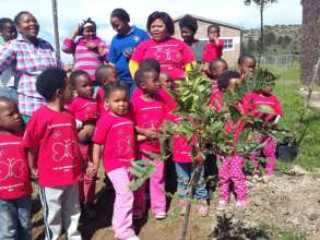 Tree planting day!