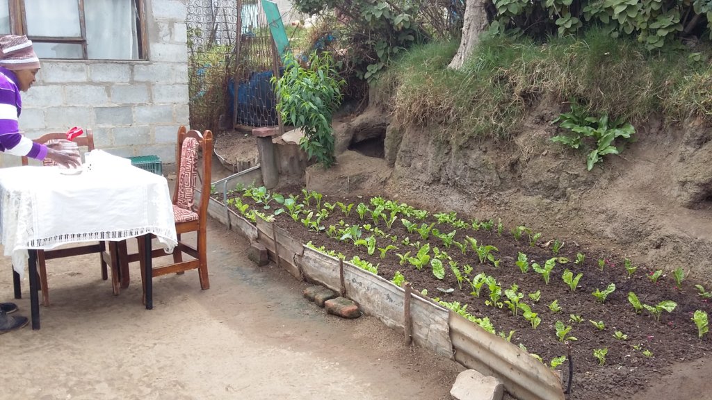 Growing food in every nook and cranny!
