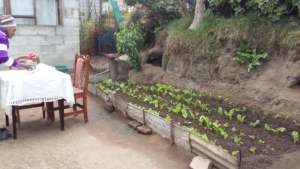 Growing food in every nook and cranny!