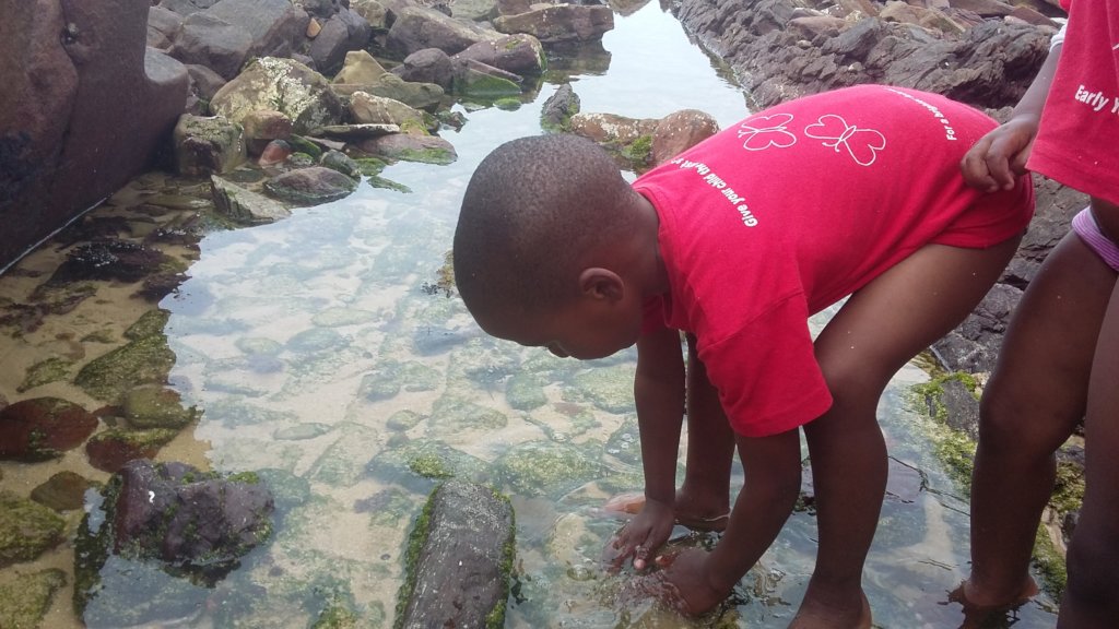 Exploring rock pools for the first time!