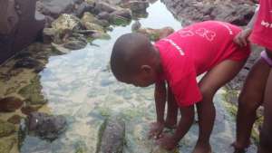 Exploring rock pools for the first time!