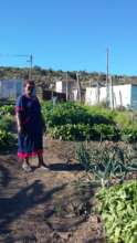 Anna' s champion veggie garden