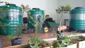 Making a garden come true!