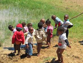 Learning about tadpoles