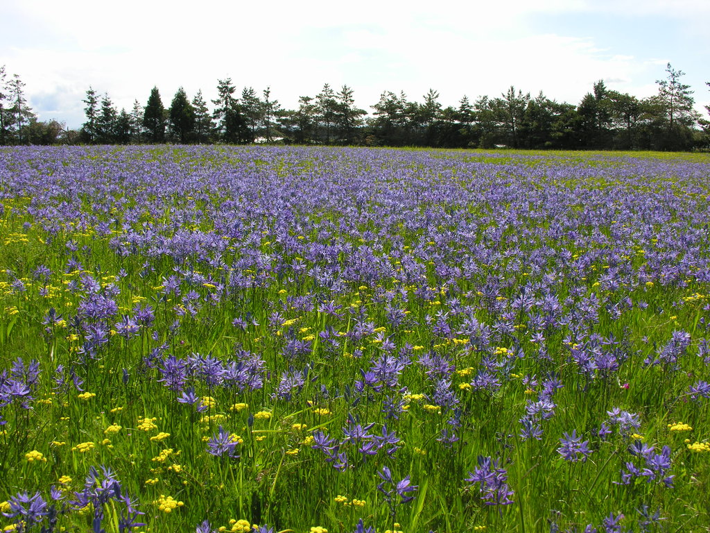 $4,000 supporting the Northwest Prairie