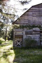 Our old Owl Barn