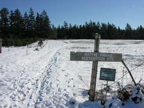 Prairie under snow