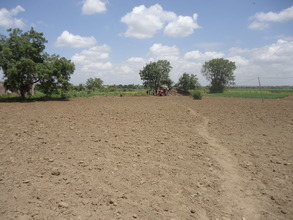 Parch Land