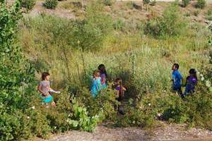 Hiking near the LA River with Sierra Club