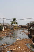 Children scour through the trash in Kroo Bay