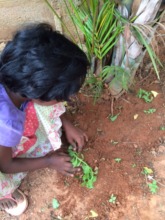 Lavanya sows a sapling during her U&I class