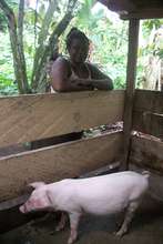 Martha Dohnji and her pigs