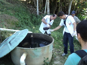 Biodigesters manure analysis.