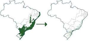 Deforestation map