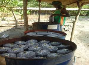 Sterilization unit
