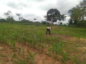 At the farm.