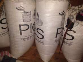 PICS sacs.