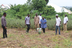 Sulemana Practices with Profile Farmers
