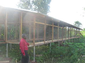 Chicken Coops