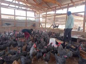 Inusa and his son in the poultry pen