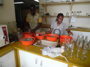 Ohene prepares millet for autoclaving