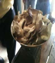 She sells GHC 30 ($10) of mushrooms weekly