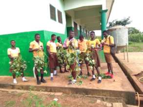 OFSP vines distributed to Bedabour school children