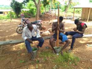 Making the neem tree pesticide.
