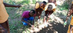 Getting young people involved in ag!