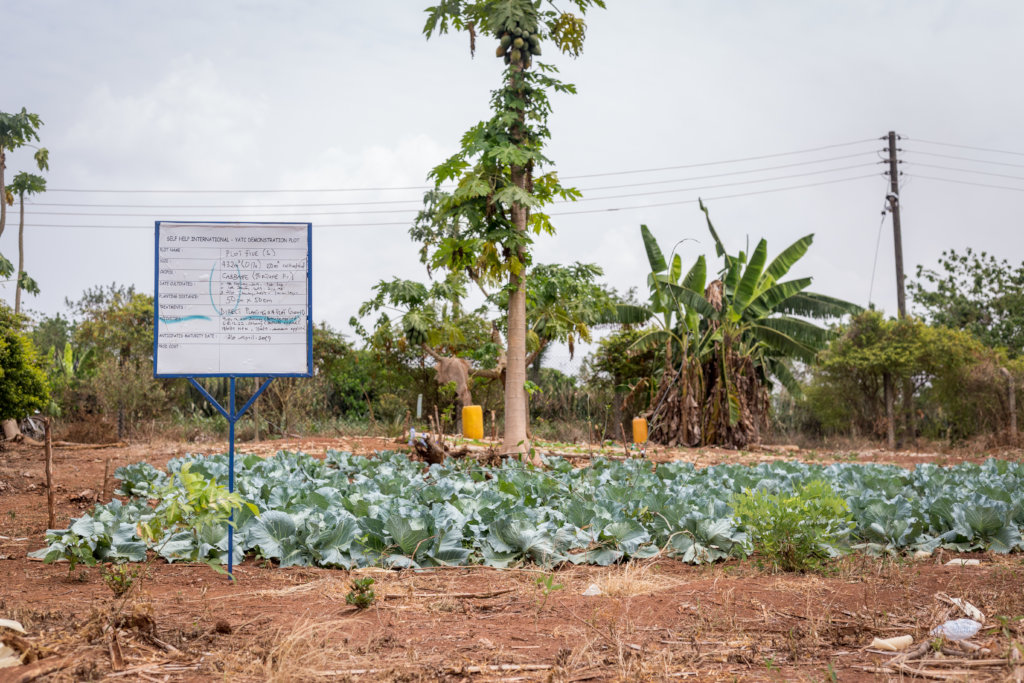 Take Best Practices to Farmers in Rural Ghana