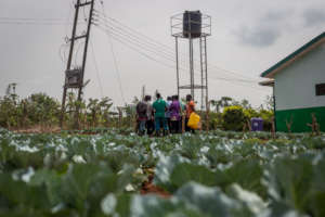 Agriculture and Entrepreneurship Training Center