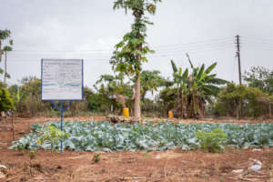 Demonstration Plots at Training Center