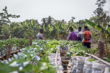 Take Best Practices to Farmers in Rural Ghana