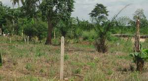 Property Stake