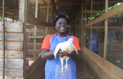 Train 10 Single mothers in Bamenda Cameroon