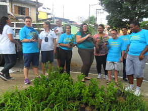 Cleaning & Planting