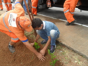 Cleaning & Planting