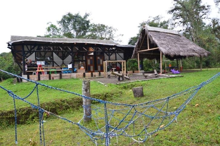 Funding an Ecuadorian School Through Recycled Art