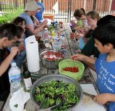 Preparing a garden salad in the garden