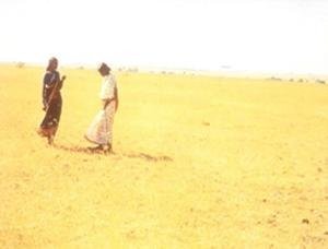 Swayam Krishi Sangam - “self-cultivation society”