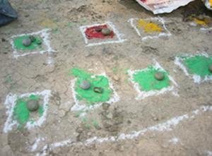 Swayam Krishi Sangam - “self-cultivation society”