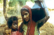 Swayam Krishi Sangam - “self-cultivation society”