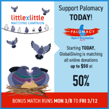 Please support Palomacy with a donation today