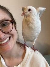 Adopter & Adopted, See What Is All This Palomacy?