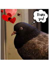 Healed, safe, fed, warm, loved