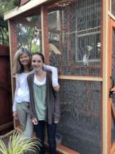 Heather & Kyla's aviary