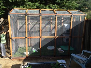 Jane's family built a beautiful pigeon aviary